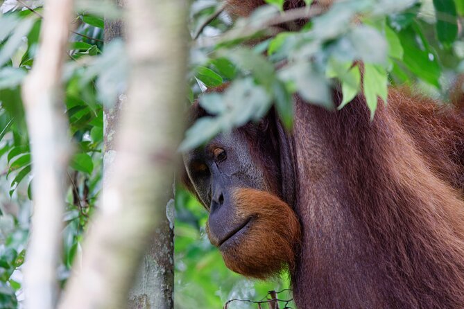 2 Days 1 Night Ethical Jungle Trekking - What the $207.79 price really covers