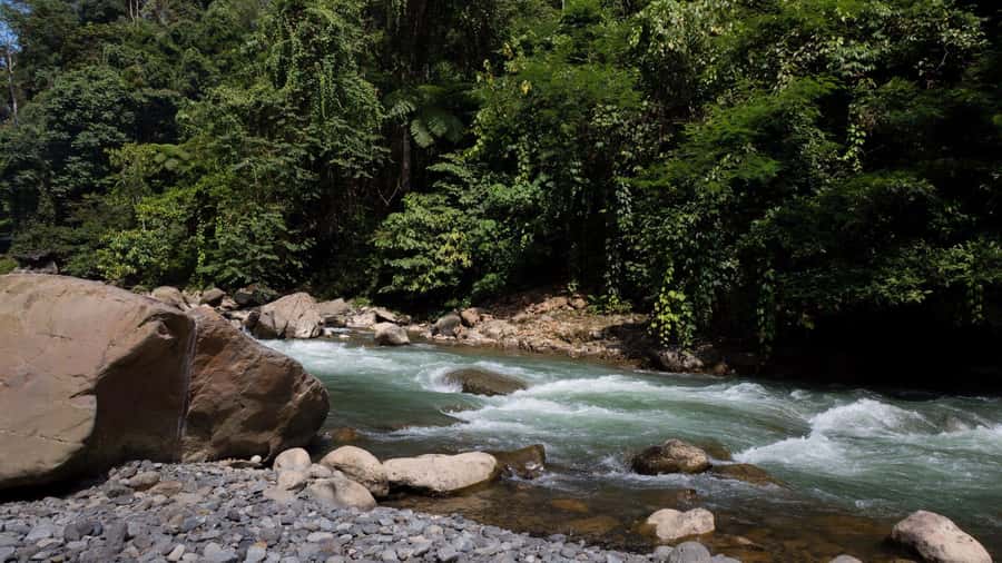 2 Days 1 Night Orangutan Trek Bukit Lawang - What happens between 9:00 am and the river camp