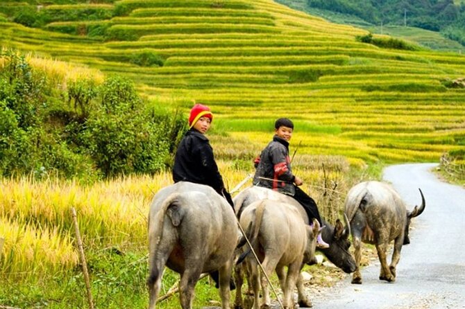 2 Days 1 Night Sapa Trekking Group Tour at Homestay - The afternoon return to Hanoi