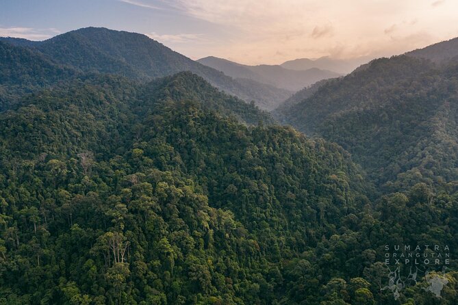 2 Days and 1 Night Ethical Jungle Trek - What the two-day format really gives you
