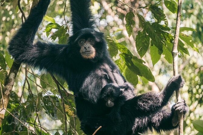 2 Days and 1 Night Ethical Jungle Trek - Comfort, packing, and fitness
