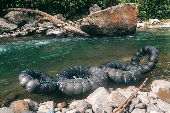 2 Days and 1 Night Ethical Jungle Trek - Who will enjoy this most