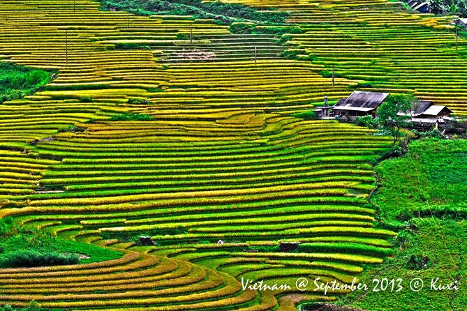 2 days authentic trekking tour in Sapa ( Homestay - Less touristy ) - Day two: rice fields and the route toward Ngũ Chỉ Sơn
