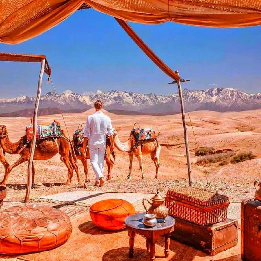 2 Days Desert Agafay and Atlas Mountains Trek From Marrakech - Who will enjoy this trip most
