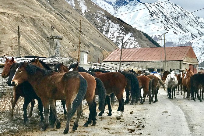 2 Days Private Tour to Kazbegi and Juta Village with Trekking - Leaving Tbilisi at 9:00 in the morning
