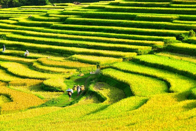 2 Days Pu Luong Offbeat Trekking Best for Mountain Lovers - What the price includes, and what it does not