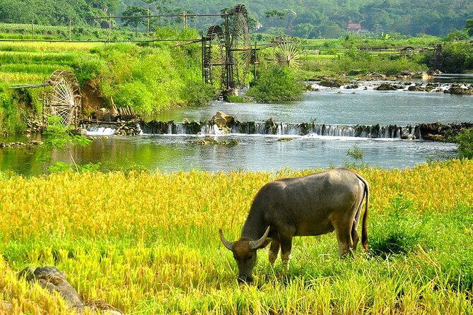 2 Days Pu Luong Offbeat Trekking Best for Mountain Lovers - Day one: Kho Muong, the cave, and Bang village