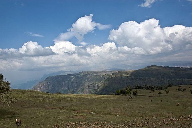 2 Days Simien Mountains Trekking - Day two: Kaba Valley, Gich Abyss, and Jinbahir Falls