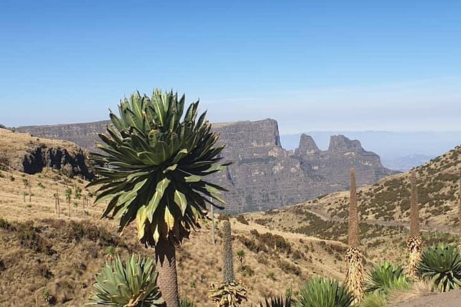 2 Nights 3 Days Trek to Semien Mountain - Fitness, altitude, and what to pack