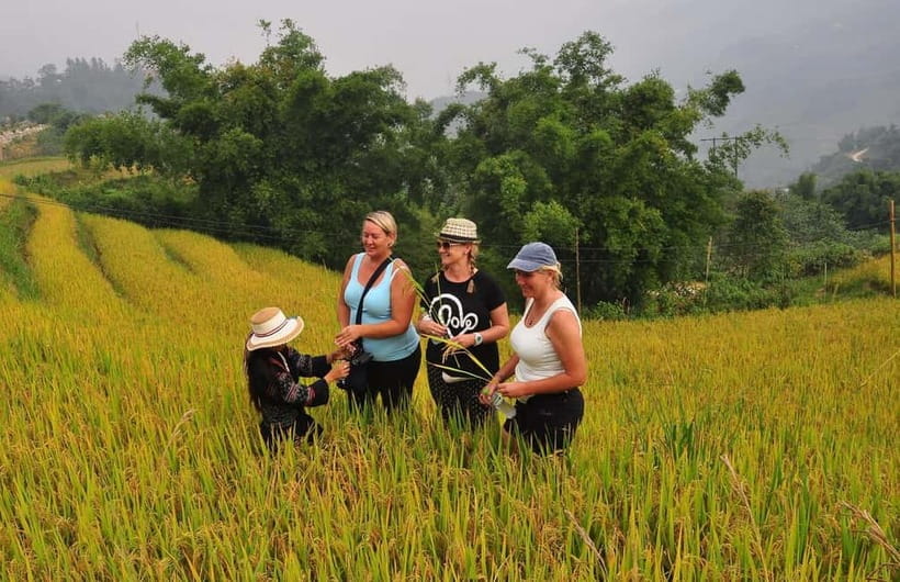 2 Nights At Sapa Homestay - Trekking & Fansipan Visit - Is $115 good value?