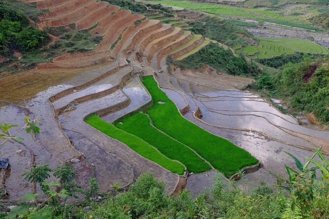 2D1N Buffalo trek by Hmong Sister House and Trekking - Why this two-day Sapa trek feels different