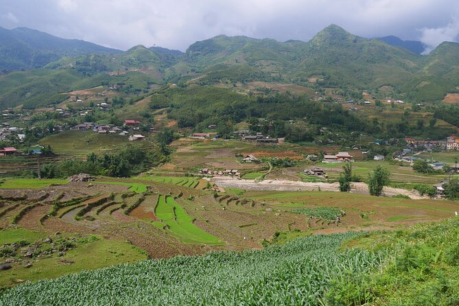 2D1N Buffalo trek by Hmong Sister House and Trekking - The guide makes the route personal