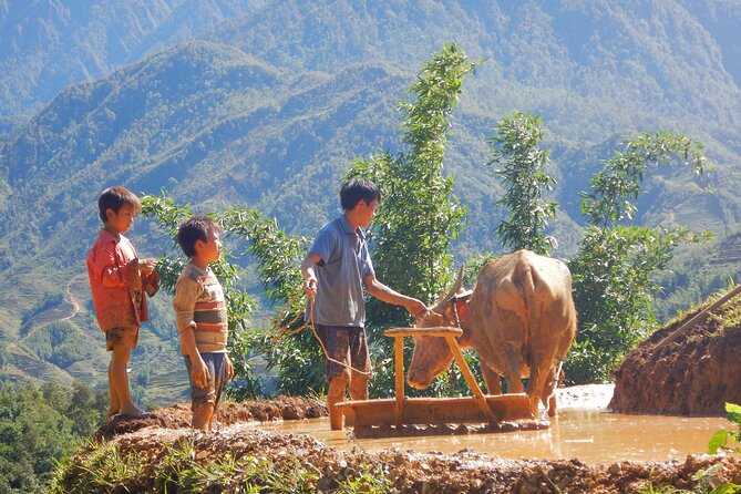 2D1N Buffalo trek by Hmong Sister House and Trekking - The early start at Zizi’s homestay