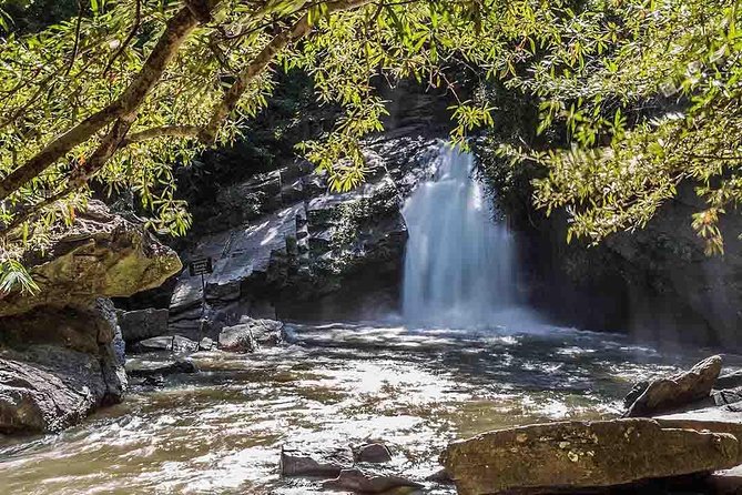 2D1N Mae Wang National Park Jungle Trekking Adventure from Chiang Mai - A 40-minute bamboo rafting start