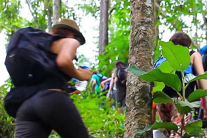 2D1N Mae Wang National Park Jungle Trekking Adventure from Chiang Mai - A slower evening in the village