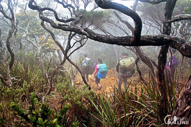 2d1n Mount Kinabalu Via Ferrata - Walk The Torq - Day one: Timpohon Gate to Pendant Hut