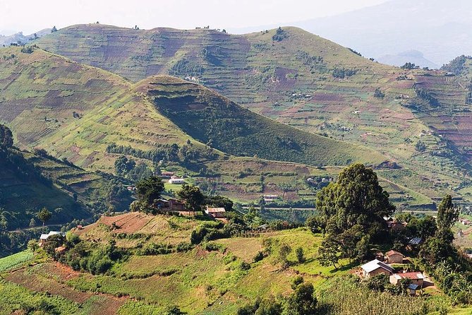 2days Bwindi NP gorilla trekking - Who should book this two-day trek?