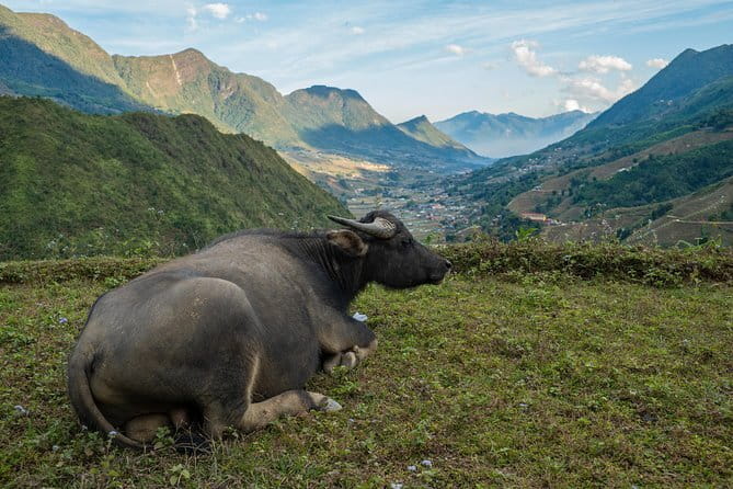 3 Day 2 Night Trek - Why this Sapa trek feels different