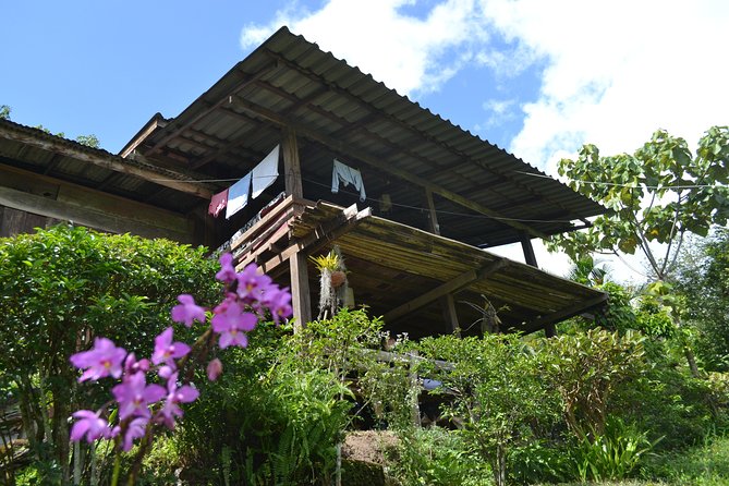 3-Day Chiang Dao Mountain Trek - What makes this Chiang Dao trek worth considering