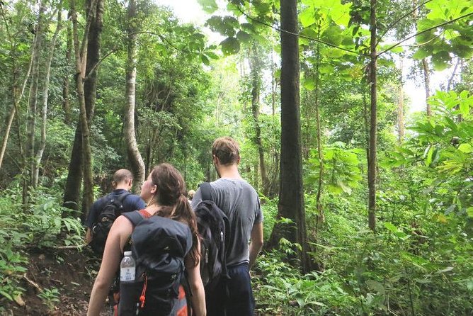 3-Day Chiang Dao Mountain Trek - Day two, the hardest walking of the trip