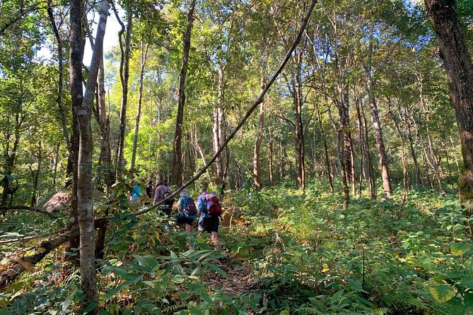 3-Day Chiang Dao Mountain Trek - Cooking, village life, and simple overnight stays