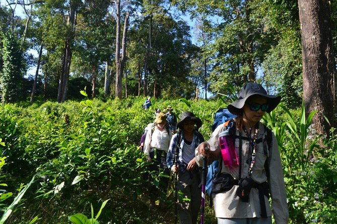 3-Day Chiang Dao Mountain Trek - Day three, descending to the Maetang River valley