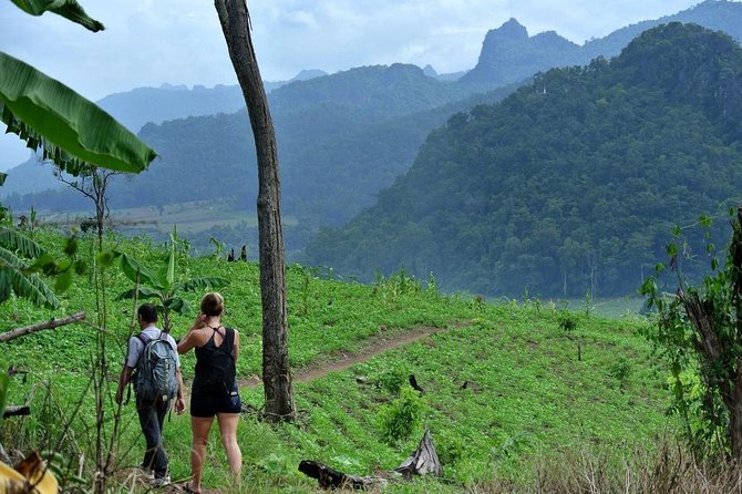 3-Day Chiang Dao Mountain Trek - Is $256 a fair price?