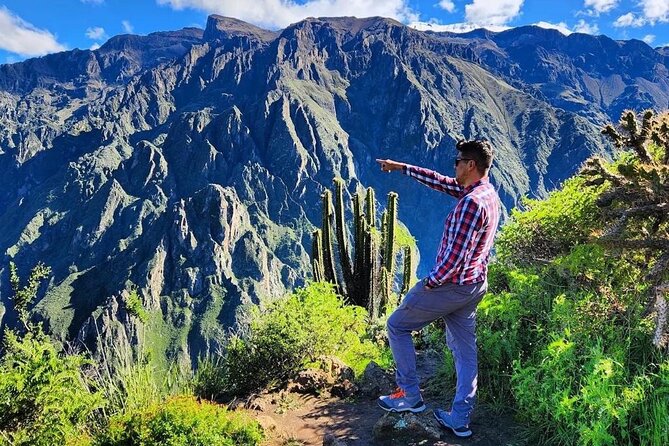3-Day Colca Canyon trek with Professional Guide - Day 3: A pre-dawn climb and Chacapi hot springs
