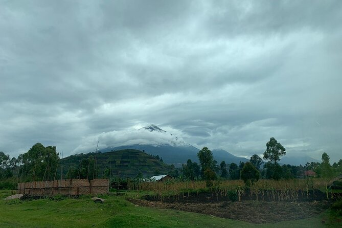 3 Day Gorilla Trek at Bwindi National Park via Kigali - Day 3: Returning to Kigali, with an optional primate trek