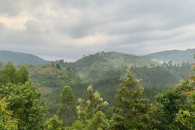 3 Day Gorilla Trek at Bwindi National Park via Kigali - Booking details that deserve attention