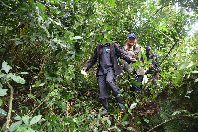 3-Day Gorilla Trekking safari in Bwindi Impenetrable Forest - Is $1,900 a fair price?