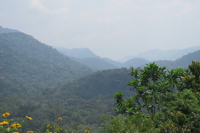 3 -Day Private Gorilla Trekking Safari in Bwindi Forest - Fitness, clothing, and preparation