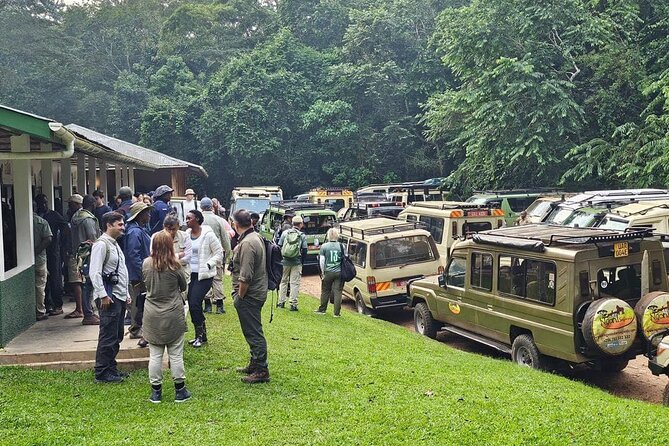 3-Day Private Guided Gorilla Trekking In Uganda - The return drive on Day 3