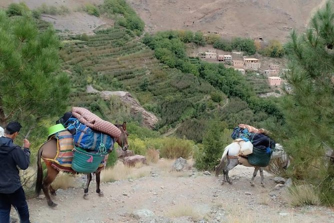3 Day Trek in the Atlas Mountains and Berber Villages from Marrakech - Day two: village paths from Tachdirt to Ait Aissa