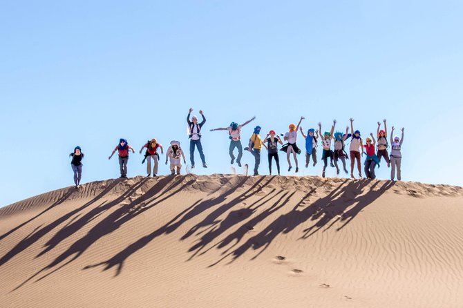 3-day trek - In the shade of palm trees - Walking with camels, guides, and cooks