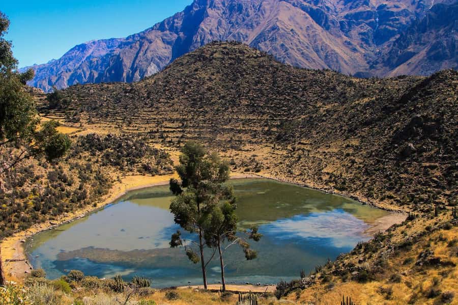3-day trek to the Colca Canyon from Arequipa ending in Puno - A morning through Cosñirhua and Malata