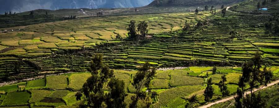 3-day trek to the Colca Canyon from Arequipa ending in Puno - Who should book this trek