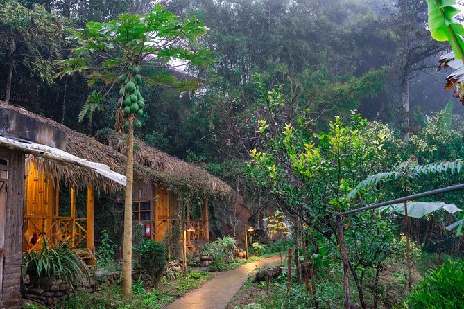 3-Day Trekking Adventure of Sapa from Hanoi - Stay Ta Van Village - Day two: Bamboo forest and Giang Ta Chai