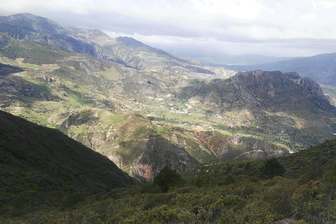 3-Day Trekking from Chefchaouen – Rif Mountains Adventure - From Chefchaouen to the Rif’s fir forests