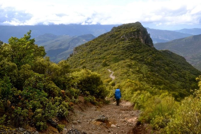 3-Day Trekking from Chefchaouen – Rif Mountains Adventure - Who should book this trek?
