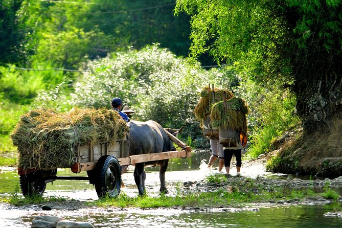3-Day Trekking In Pu Luong Nature Reserve Private Tour - Sunrise, farms, and a longer second day