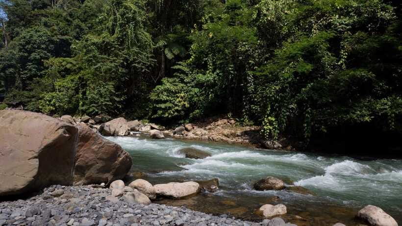 3 Days 2 Nights Orangutan Trek Bukit Lawang - Day 2: More trekking, a waterfall, and the river ride home