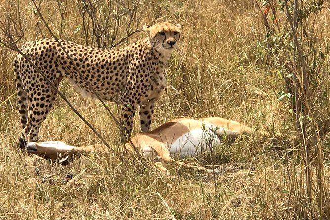 3 days Amboseli, Land of Kilimanjaro - Why Amboseli Works So Well for a Short Safari