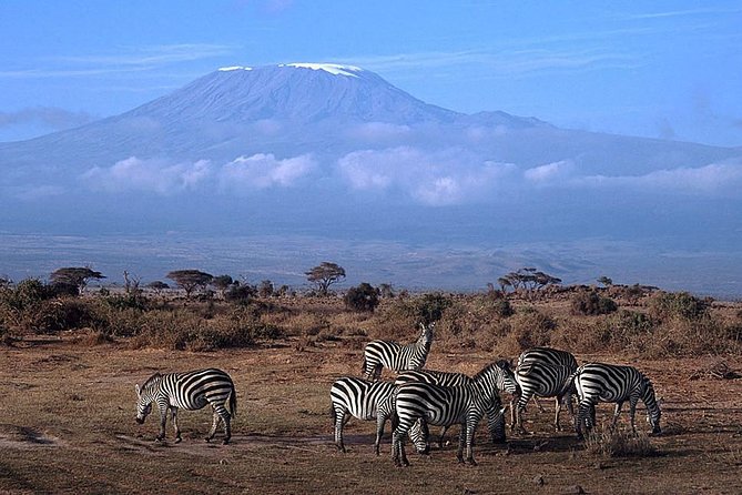 3 days Amboseli, Land of Kilimanjaro - Day Three: A Final Drive and Maasai Village Visit