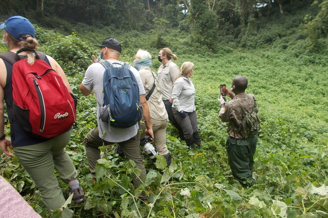 3 Days Bwindi Gorilla Trekking tour - The return to Entebbe