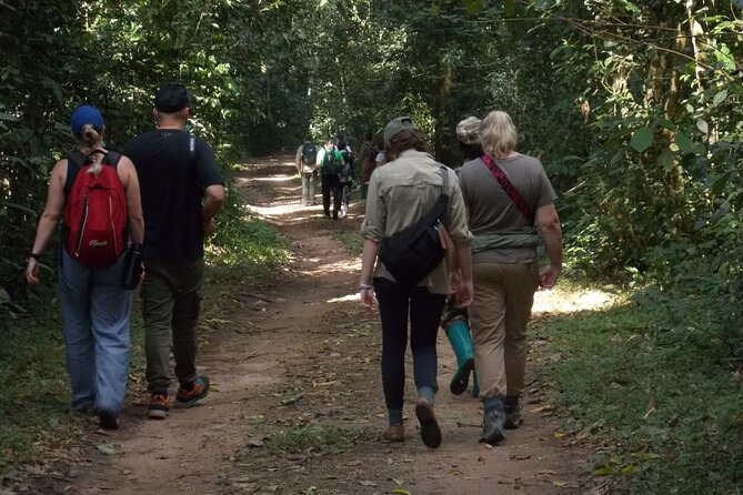 3 Days Bwindi Gorilla Trekking tour - What the gorilla encounter is really worth