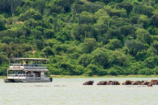 3 Days gorilla trekking Safari tour in Uganda - Day 1: Entebbe to Bwindi through changing country