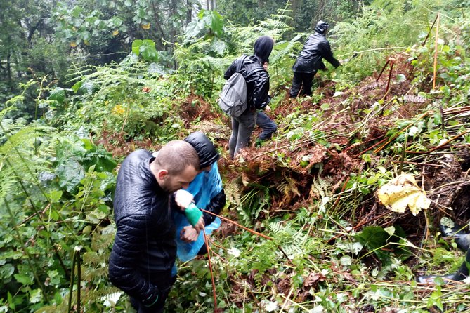 3 Days Gorilla trekking Safari Uganda, Bwindi Impenetrable Forest - Day one: the road from Kampala to Gorilla Valley Lodge