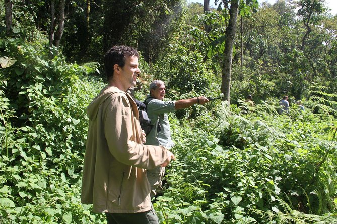3 Days Gorilla trekking tour - Day two: the walk into Bwindi forest