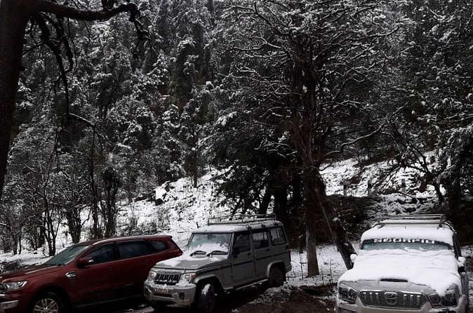 3 Days Kalinchowk Trekking from Kathmandu - Weather, fitness, and what to pack